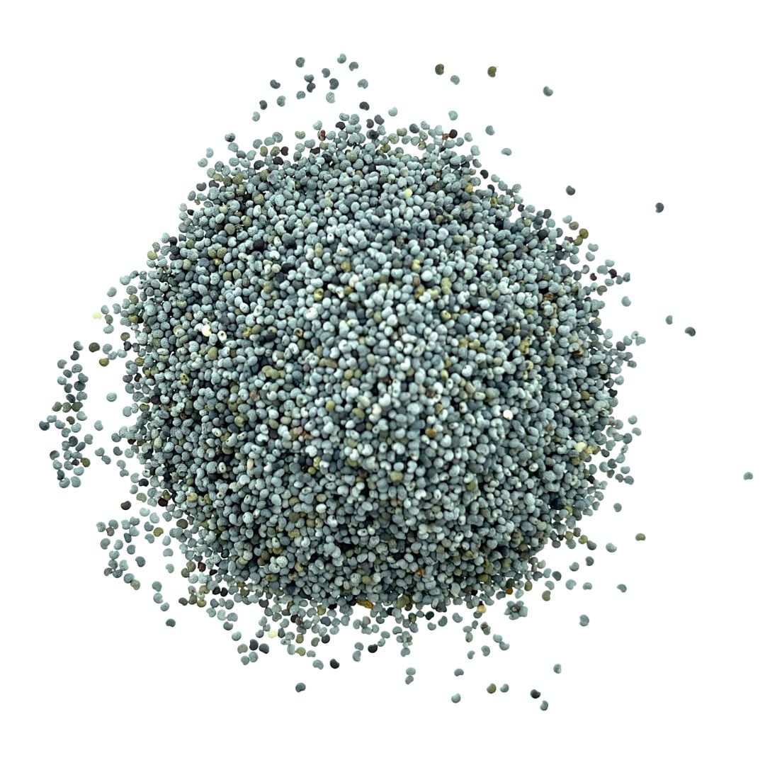Maanzaad blauw